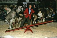 1985-01-12 Doe mer wa show B26 1985-01-12 Doe mer wa show B26